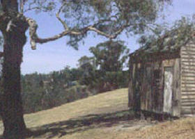 Hawkstowe Picnic Area - Hervey Bay Accommodation 0