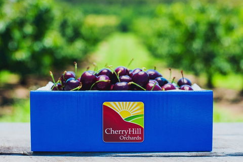 Cherryhill Orchards - Tourism Hervey Bay 8