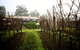 GREENSTONE VINEYARDS - thumb 4