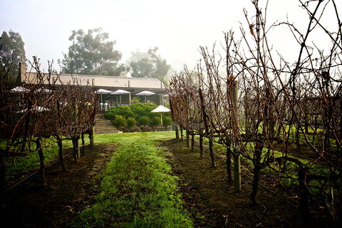 GREENSTONE VINEYARDS - Tourism Hervey Bay 4
