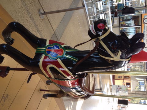 The Carousel - Tourism Hervey Bay 4
