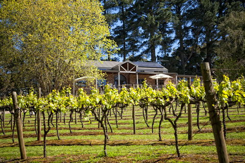 Main Ridge Estate - Hervey Bay Accommodation 3