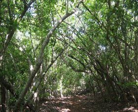Durras North NSW Hervey Bay Accommodation