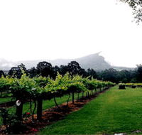 Cambewarra Estate Wines - Hervey Bay Accommodation