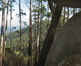Gulaga National Park - Hervey Bay Accommodation 0