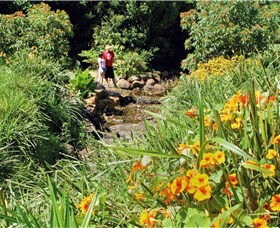 Bonaira Native Gardens - Hervey Bay Accommodation 0