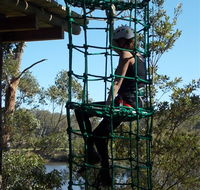 Trees Adventure Shoalhaven - Hervey Bay Accommodation