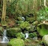Budderoo National Park - Hervey Bay Accommodation