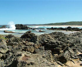 Coastal Walks - Bermagui - Tourism Hervey Bay 0