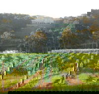 Tilba Valley Wines
