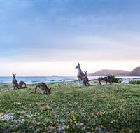 Pebbly Beach - Hervey Bay Accommodation