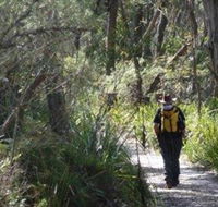 Barren Grounds Nature Reserve - Hervey Bay Accommodation