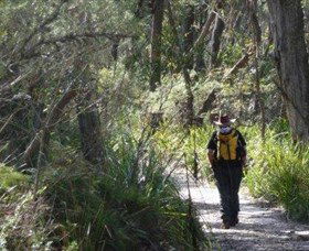 Barren Grounds Nature Reserve - Tourism Hervey Bay 0