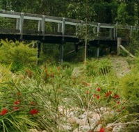Eurobodalla Botanic Gardens - Hervey Bay Accommodation