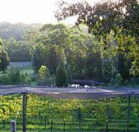 Lyrebird Ridge Organic Winery - Hervey Bay Accommodation