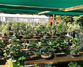 Bonsai At The Bay - Hervey Bay Accommodation 0