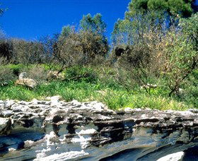 Abrahams Bosom Reserve - Hervey Bay Accommodation 0