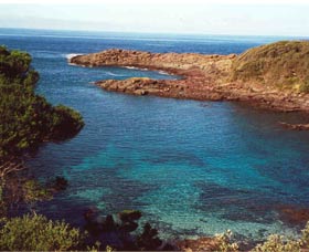 Bass Point Reserve - Hervey Bay Accommodation 0