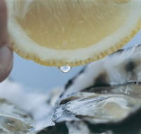 Pearly Oyster Bar and Farm