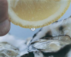Pearly Oyster Bar And Farm - Hervey Bay Accommodation 0