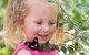 Coffs Harbour Butterfly House - thumb 0