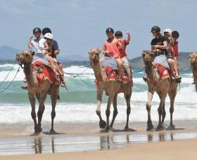Camel Rides With Coffs Coast Camels - Hervey Bay Accommodation 0