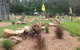 The Cove Miniature Golf Course - thumb 0