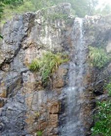 Wedding Bells Forest Drive - Hervey Bay Accommodation 0