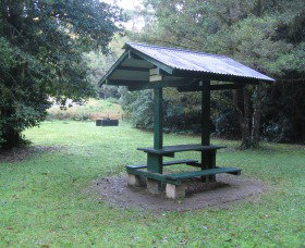 Pine Creek State Forest - Hervey Bay Accommodation 0