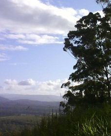 Sherwood Nature Reserve - Hervey Bay Accommodation 0
