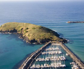 Muttonbird Island Nature Reserve - Hervey Bay Accommodation 0
