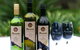 Moorebank Private Vineyard - thumb 6
