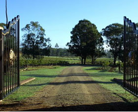 Moorebank Private Vineyard - Hervey Bay Accommodation 3