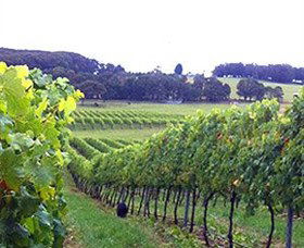 Brayton NSW Hervey Bay Accommodation