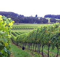 Banjo's Run Winery and Vineyard - Hervey Bay Accommodation