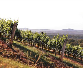 Briar Ridge Vineyard - Hervey Bay Accommodation 1