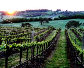 Philip Shaw Wines - Hervey Bay Accommodation 1