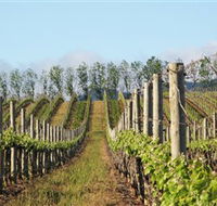 Philip Shaw Wines - Hervey Bay Accommodation