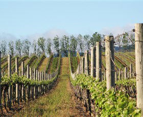 Philip Shaw Wines - Hervey Bay Accommodation 0