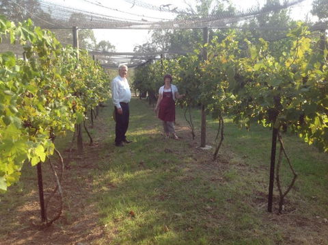 Holland Wines - Hervey Bay Accommodation 8