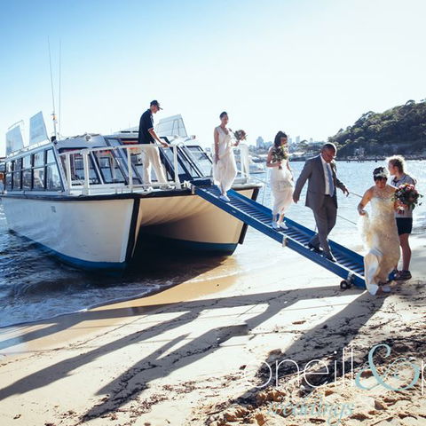 H2O Maxi Taxis - Tourism Hervey Bay 3