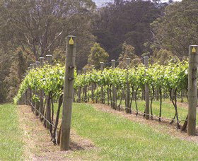 Diamond Creek Estate Cellar Door - Hervey Bay Accommodation 2