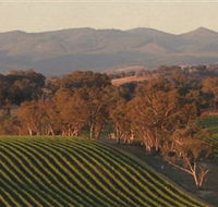 Angullong Wines - Tourism Hervey Bay
