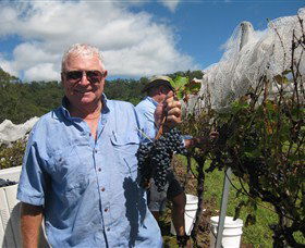Razorback Ridge Wines - Hervey Bay Accommodation 8