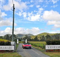 Sarabah Estate Vineyard - Hervey Bay Accommodation