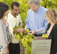 Jacob's Creek Vineyard Tour