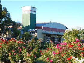 Balnaves Of Coonawarra - Hervey Bay Accommodation 1