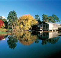Balnaves of Coonawarra