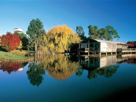 Balnaves Of Coonawarra - Hervey Bay Accommodation 0
