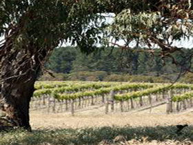 Wangolina Station - Hervey Bay Accommodation 3